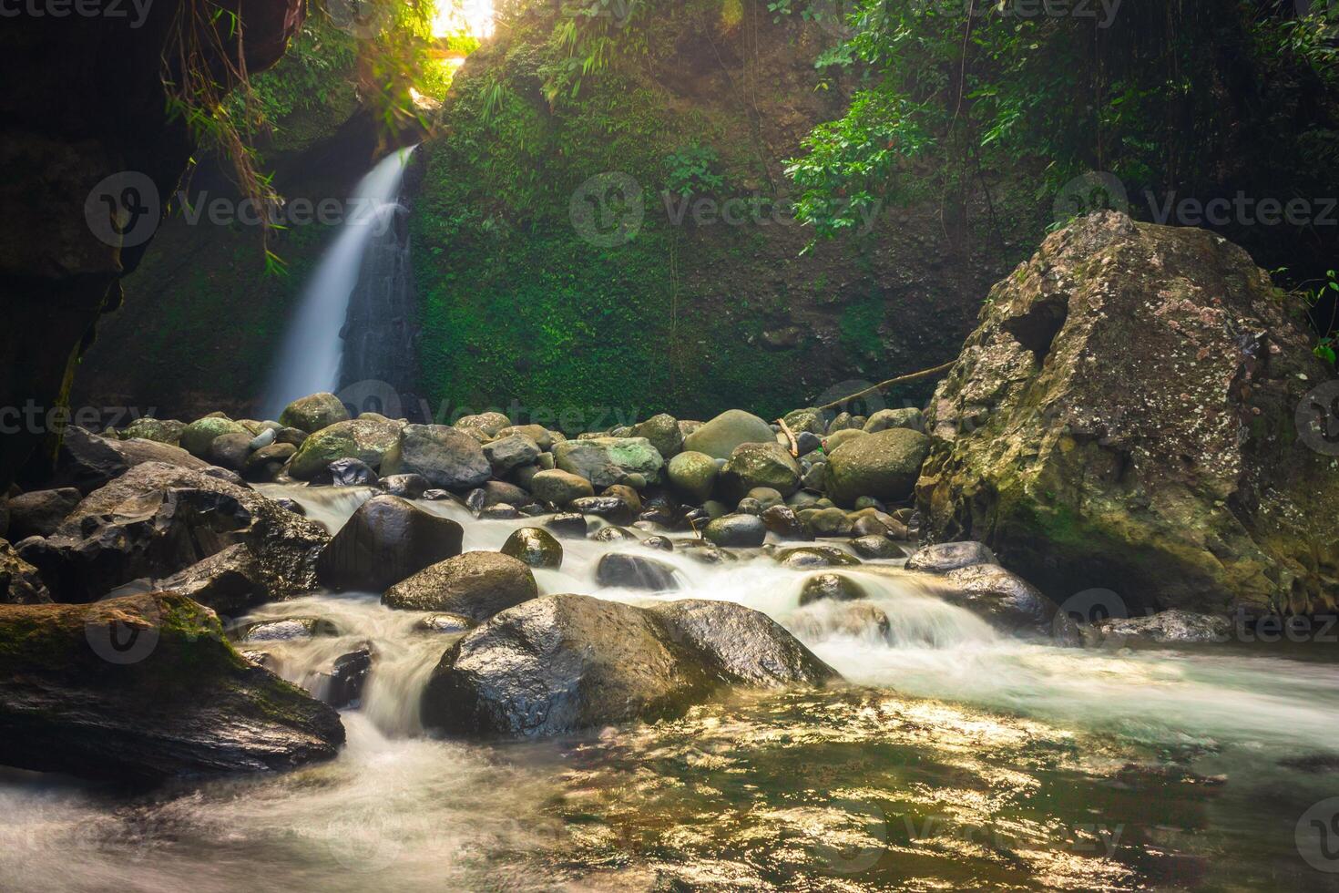 hermosa Mañana ver desde Indonesia de montañas y tropical bosque foto