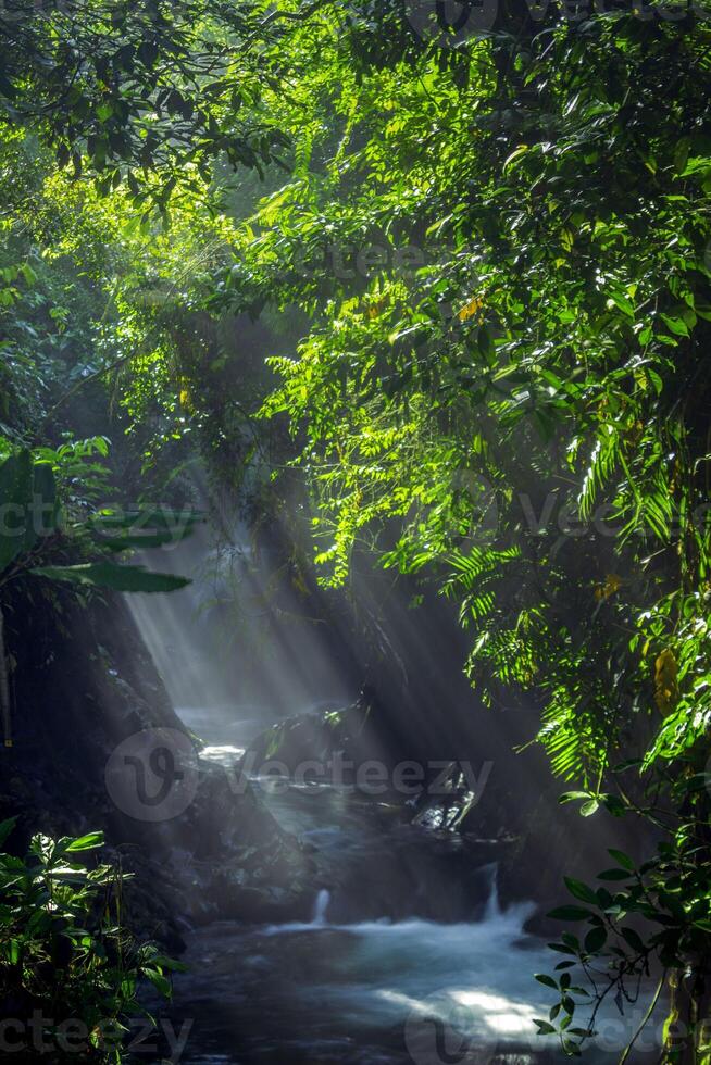 beautiful morning view from Indonesia of mountains and tropical forest photo