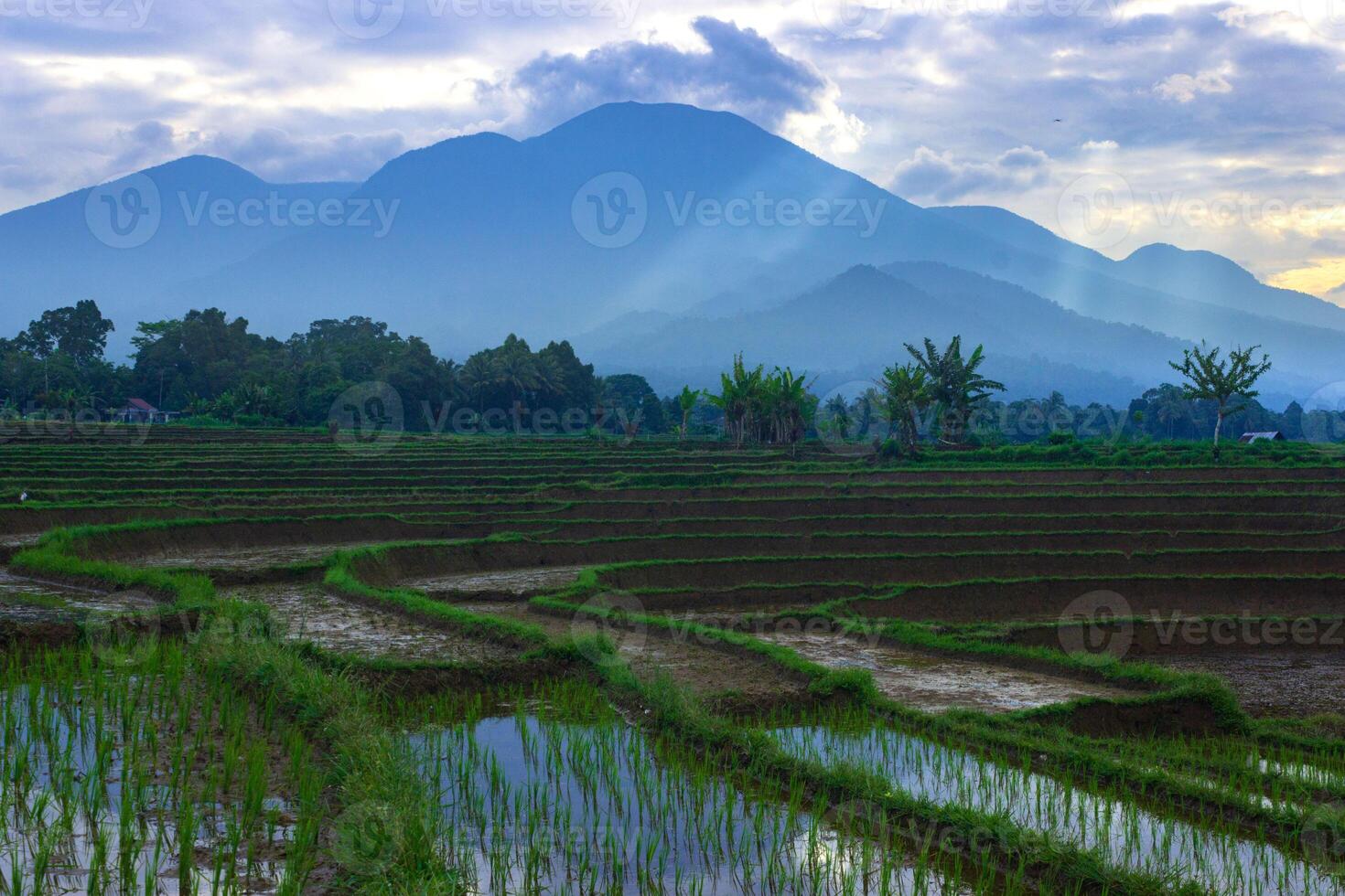 hermosa Mañana ver desde Indonesia de montañas y tropical bosque foto