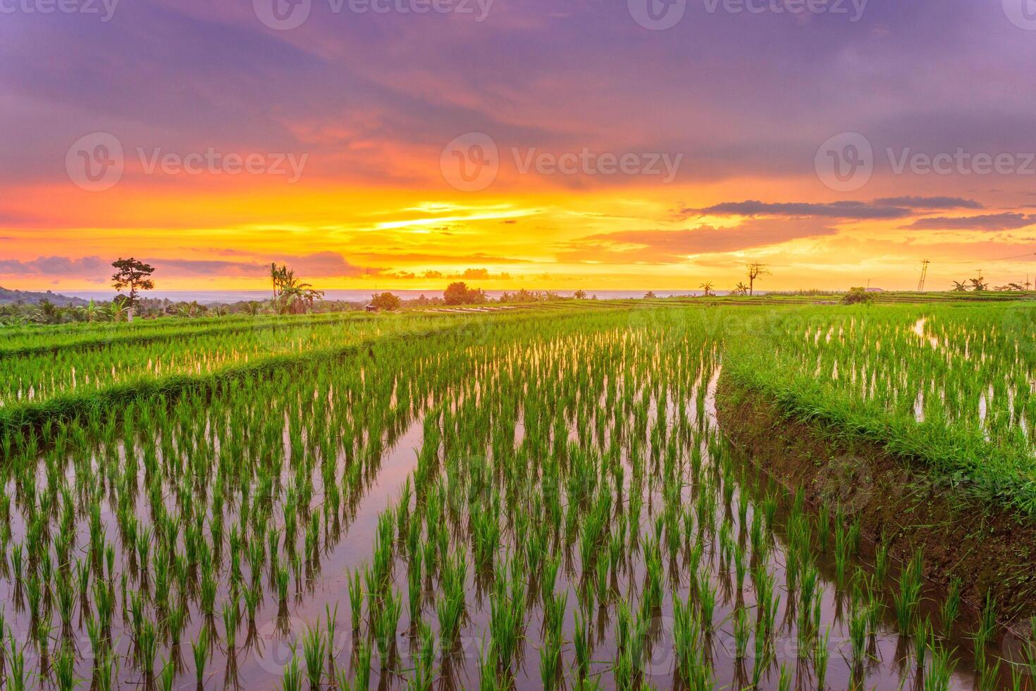 beautiful morning view from Indonesia of mountains and tropical forest photo