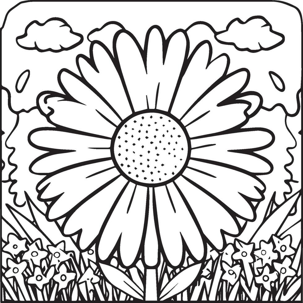 Daisy flower coloring pages. Daisy outline vector for coloring book