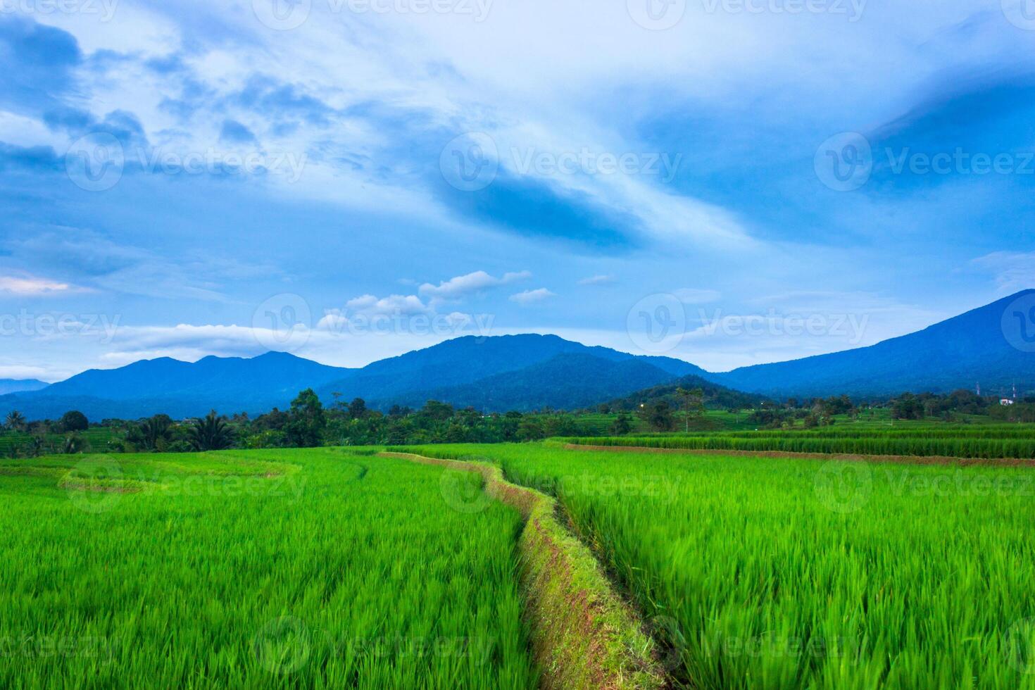 hermosa Mañana ver desde Indonesia de montañas y tropical bosque foto