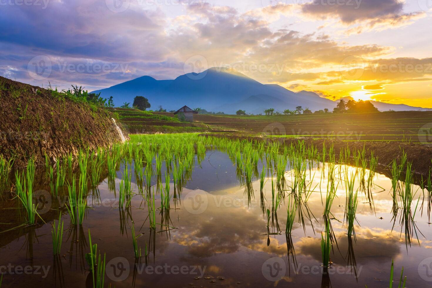 hermosa Mañana ver desde Indonesia de montañas y tropical bosque foto