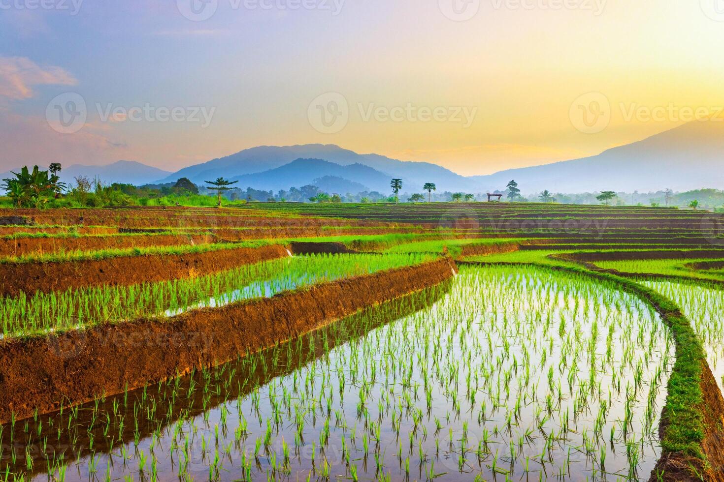 beautiful morning view from Indonesia of mountains and tropical forest photo