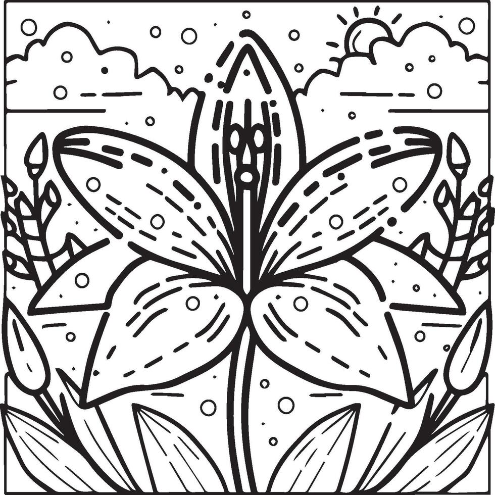 Lily coloring pages. Lily flower outline vector for coloring book