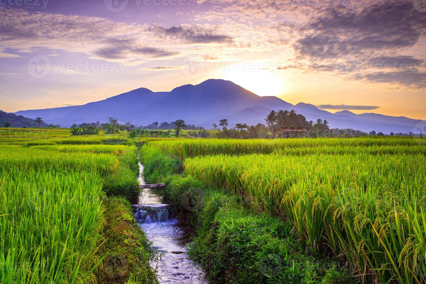 hermosa Mañana ver desde Indonesia de montañas y tropical bosque foto