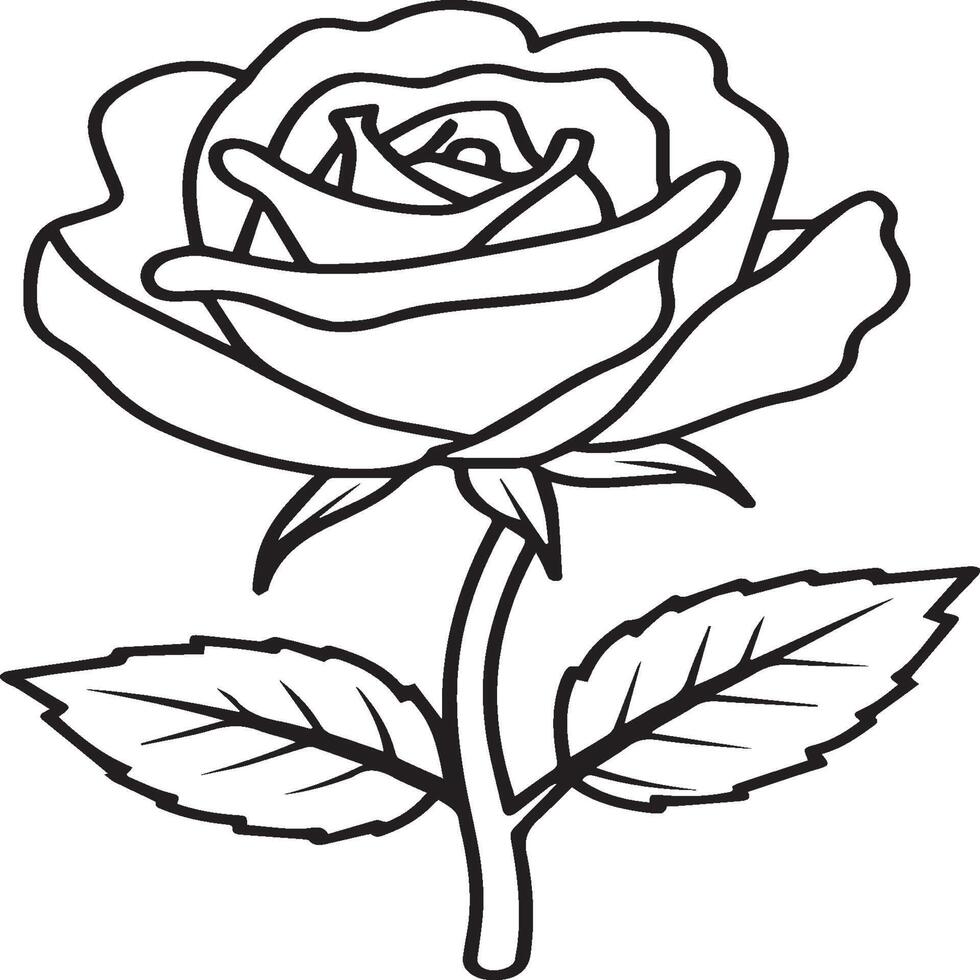 Rosa colorante paginas Rosa flor contorno vector