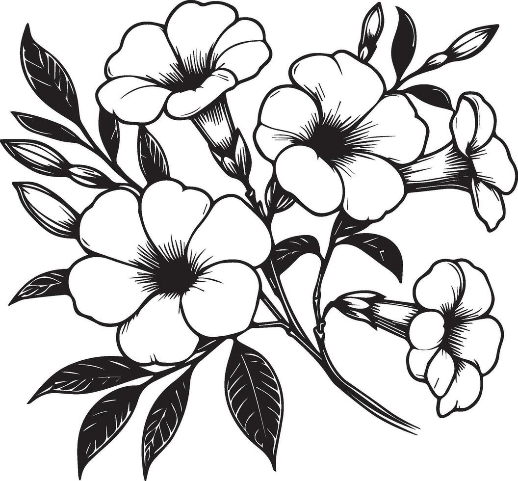 allamanda catártico flores colorante página, sencillez, embellecimiento, monocromo, vector arte, contorno impresión con flores allamanda catártico, hojas, y brotes allamanda catártico flores vector Arte