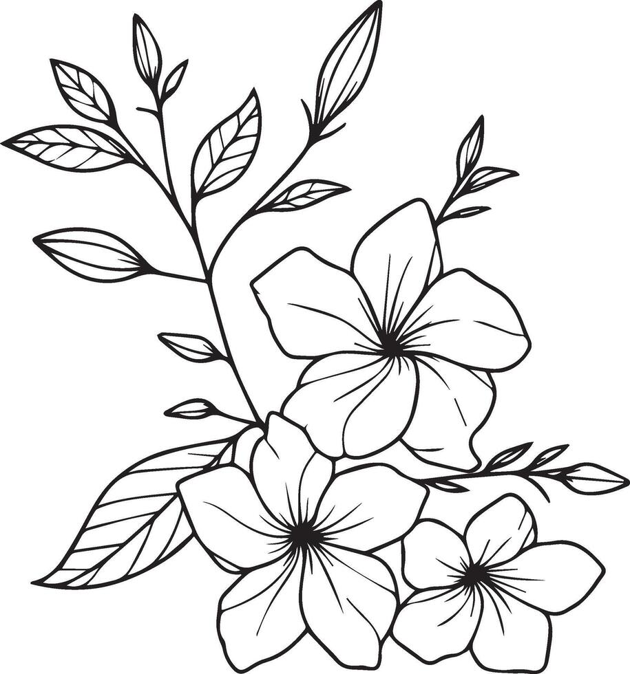 Hand-drawn botanical summer elements natural collection, Allamanda cathartica  line art for coloring page, Realistic flower coloring pages, Allamanda cathartica flower outline, Allamanda cathartica vector