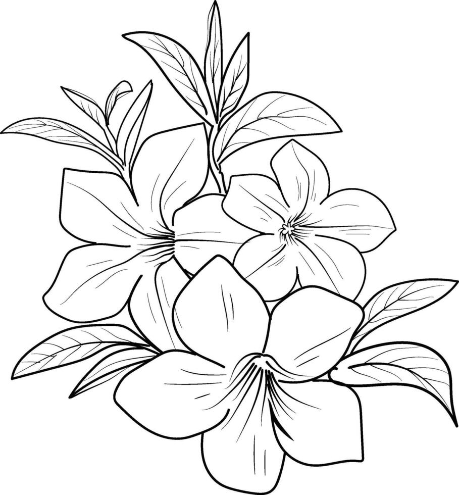 allamanda catartica, negro y blanco vector bosquejo ilustración de floral ornamento ramo de flores de allamanda cathartica sencillez, embellecimiento, zentangle diseño elemento para tarjeta impresión