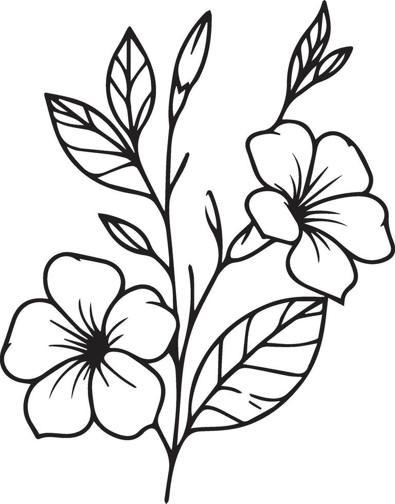 Birth flower Allamanda cathartica doodle bouquet of flower design for card or print. hand-painted Allamanda cathartica flowers illustration isolated on white backgrounds, engraved ink art floral vector