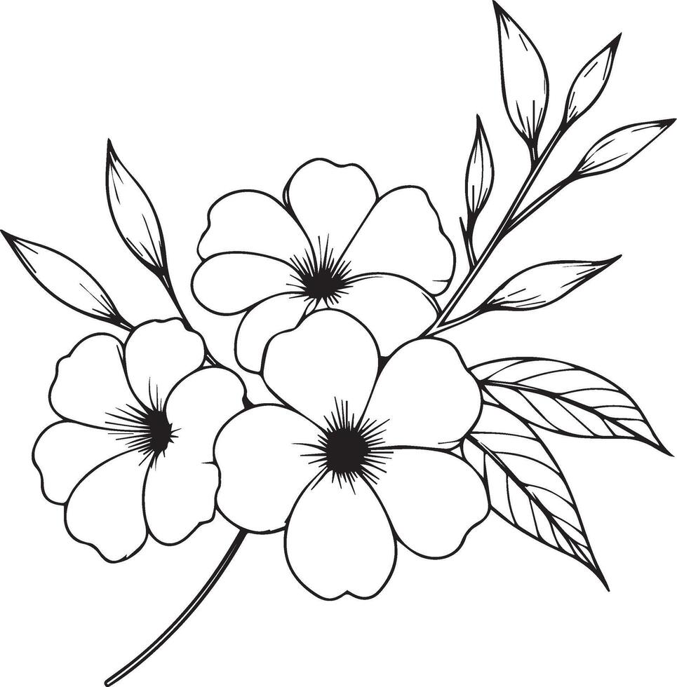 Vector sketch, pencil art Allamanda cathartica flower, vintage floral design wildflowers with coloring book for adults, flower cluster drawing, relaxation flower coloring pages