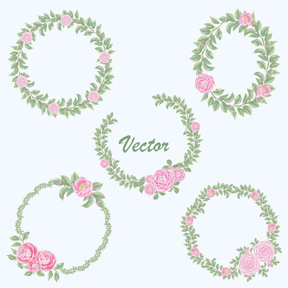 acuarela camelia flores y brotes vector