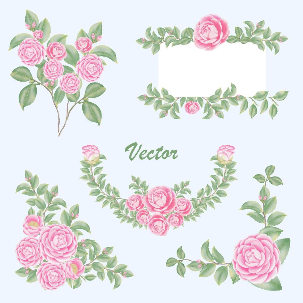Watercolor camellia flowers and buds vector