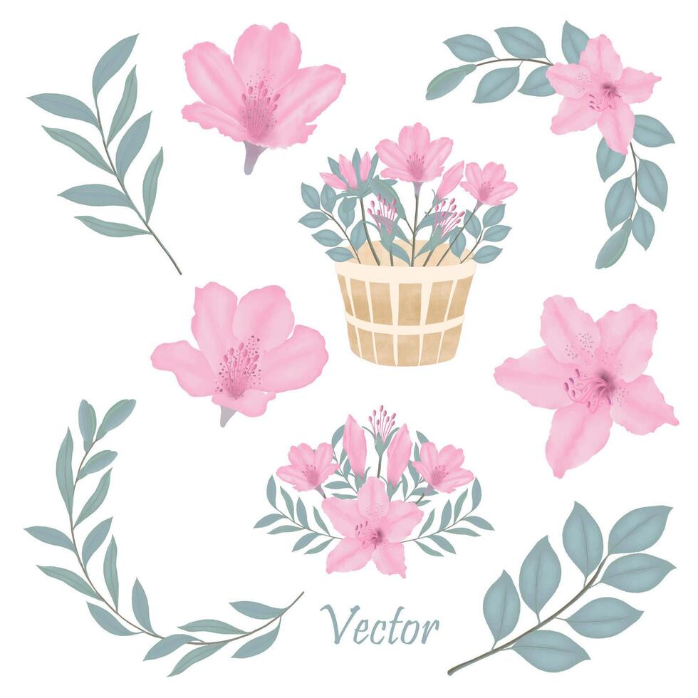 Hand-Drawn Pink Azalea Blooms - Spring Flower Illustration vector