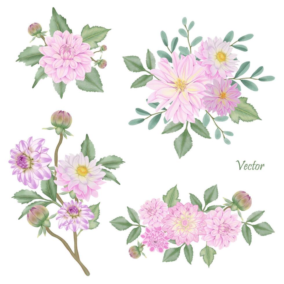 dibujado a mano rosado dalia floraciones - verano flor ilustración vector