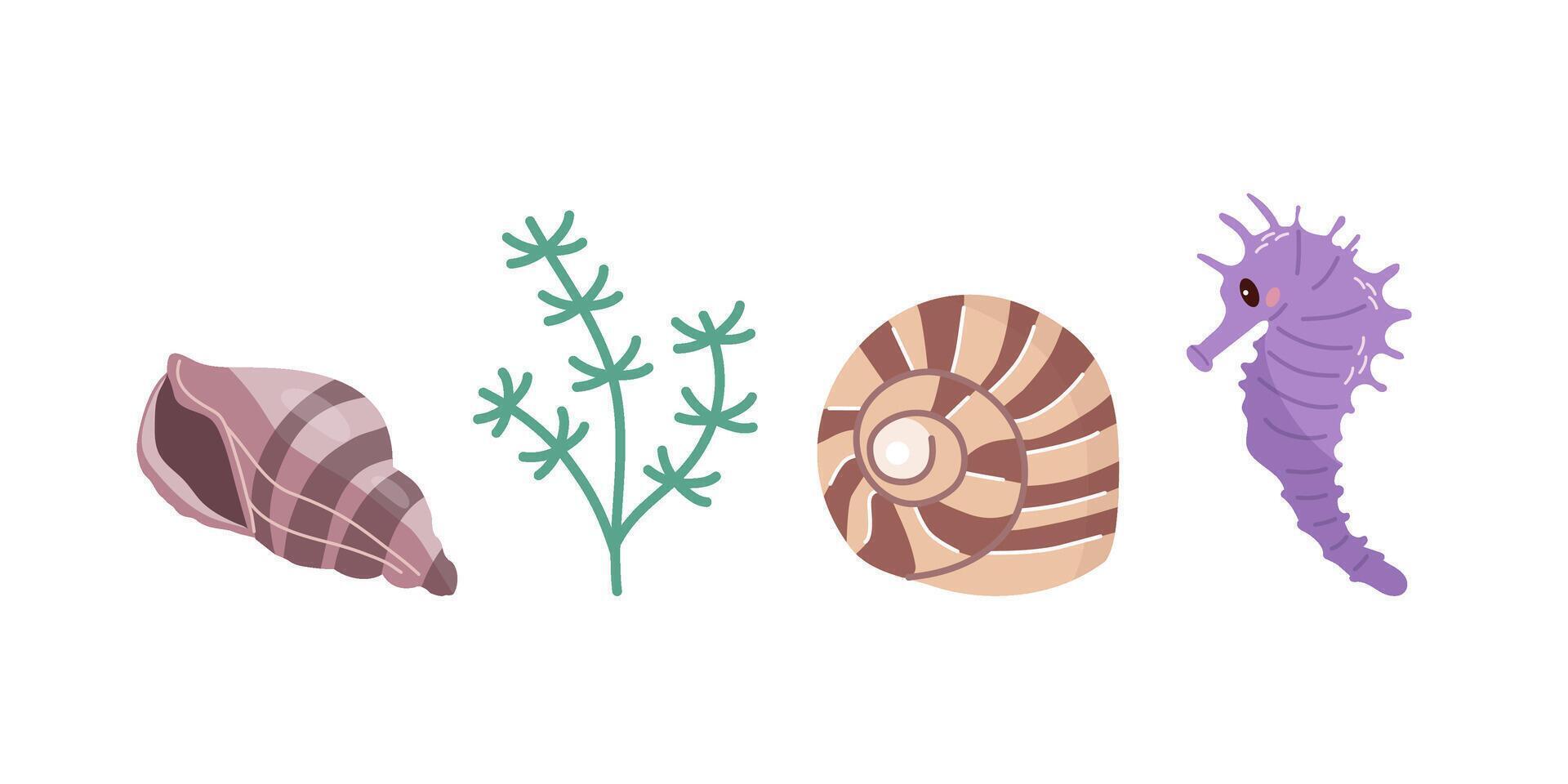 Sea shells vector set, mollusks, algae, seahorse. Flat illustration of various seashells on white background. Collection for stickers.