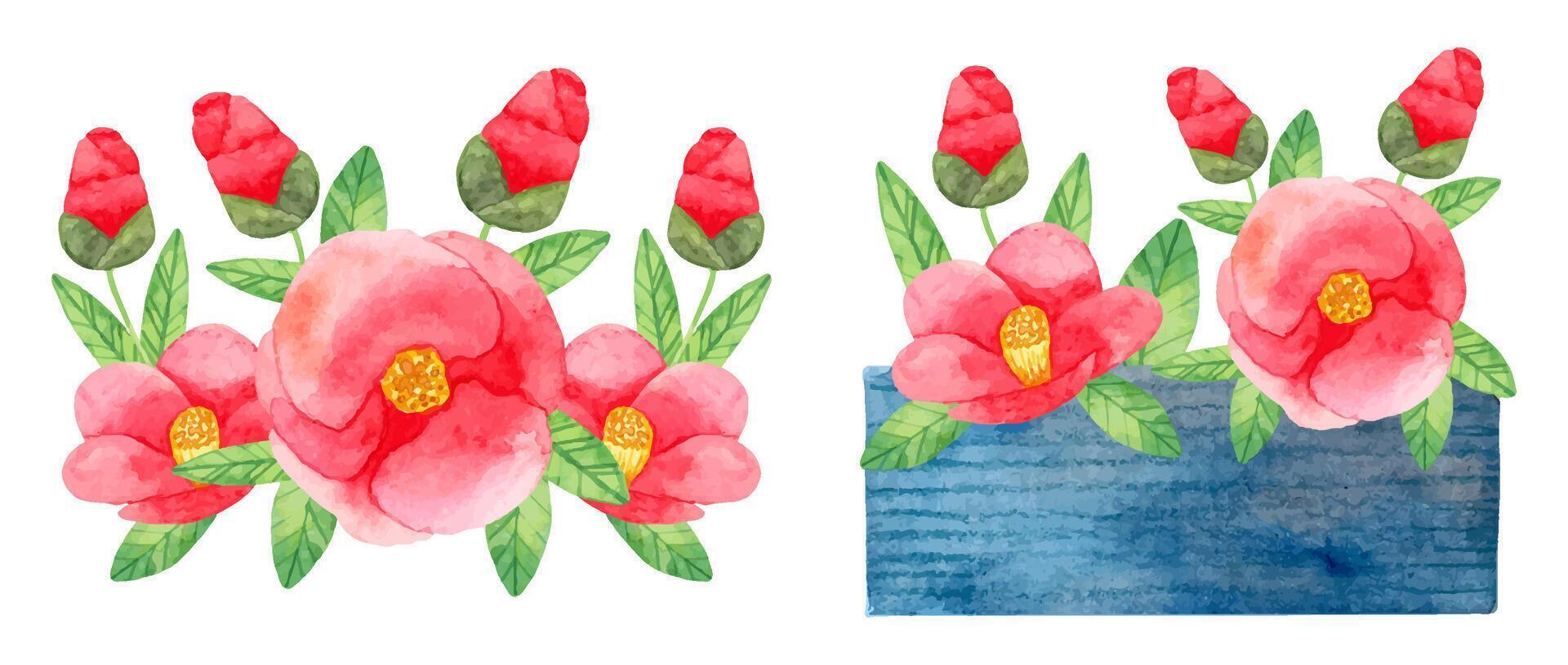 Composition of Japanese camellia with red flowers with leaves and in a vase. Botanical watercolor illustration. Simple stylized style. Hand drawing. Set of elements for cards, invitations. Vector