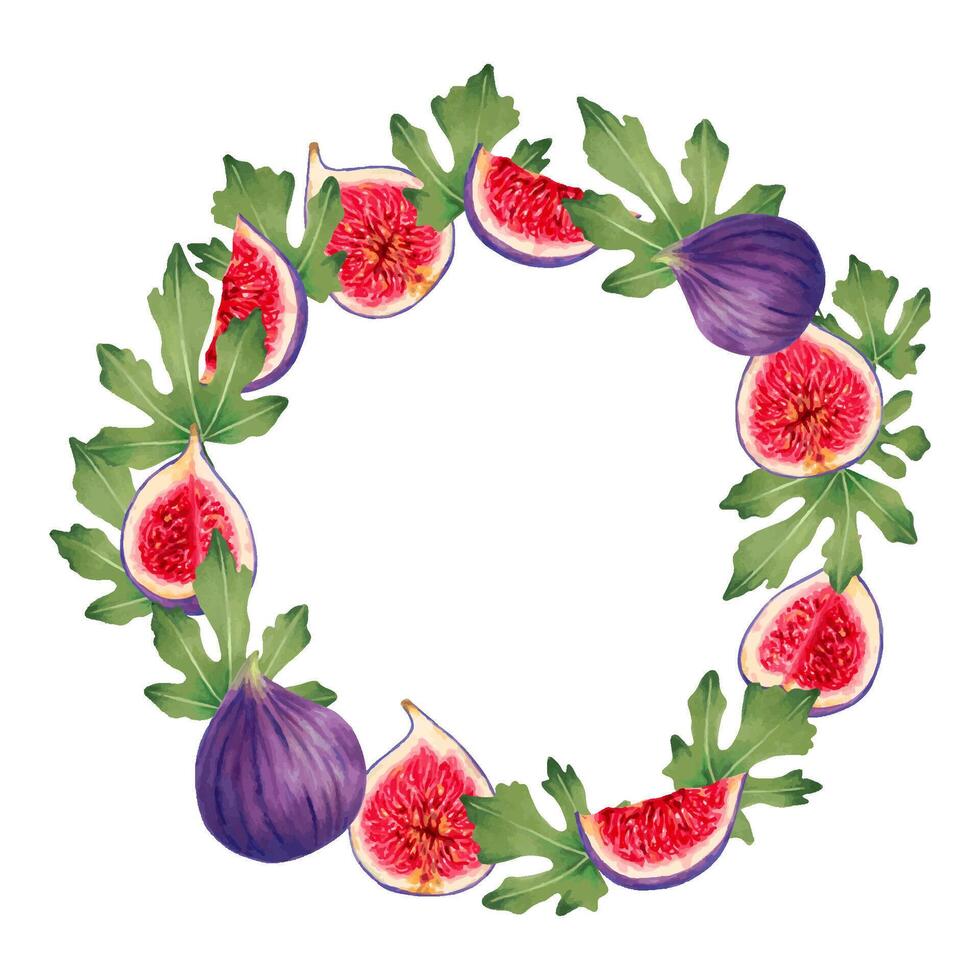 Fruit round fig wreath or frame.Botanical wreath of fresh ripe purple fig fruits and slices, leaves.Watercolor and marker illustration.Suitable for cards,packaging.Hand-drawn isolated clipart. vector