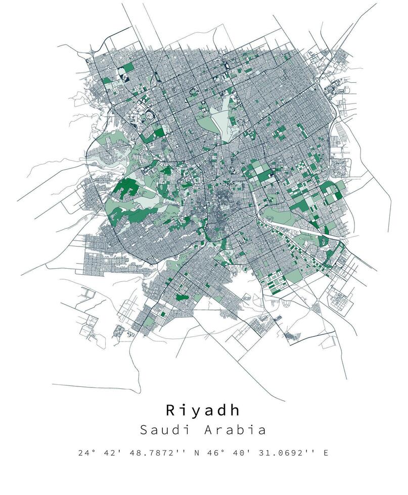Riyadh ,Saudi Arabia Urban detail Streets Roads Map  ,vector element template image vector