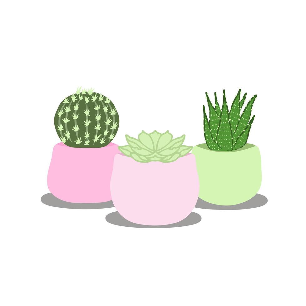 gráfico ilustración de cactus y suculento interior planta con flor maceta, aislado en blanco antecedentes vector