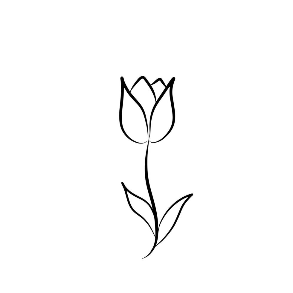 Beautiful single tulip in bloom illustration, simple silhouette element design, hand drawn line art in black vector