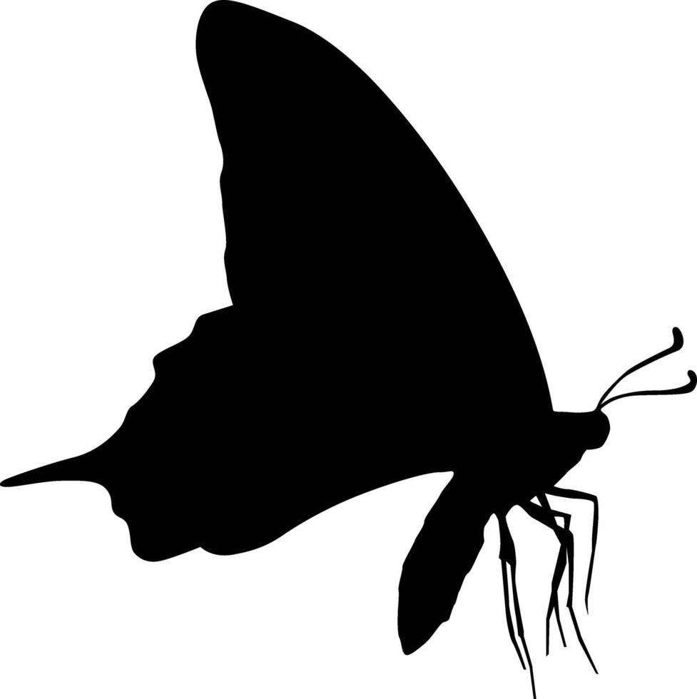 Butterfly silhouette illustration. Black colored animal wildlife hand drawn in vector format