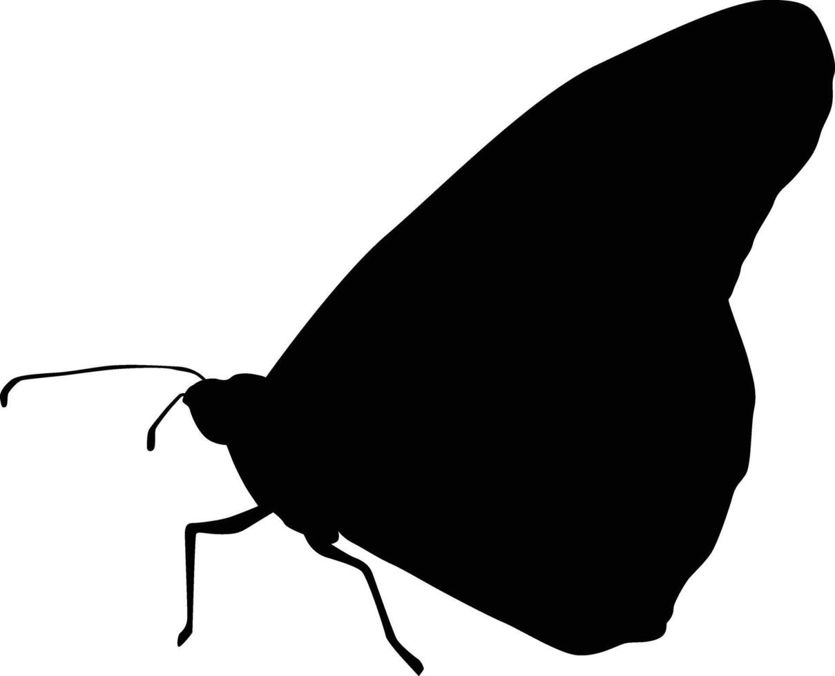 Butterfly silhouette illustration. Black colored animal wildlife hand drawn in vector format