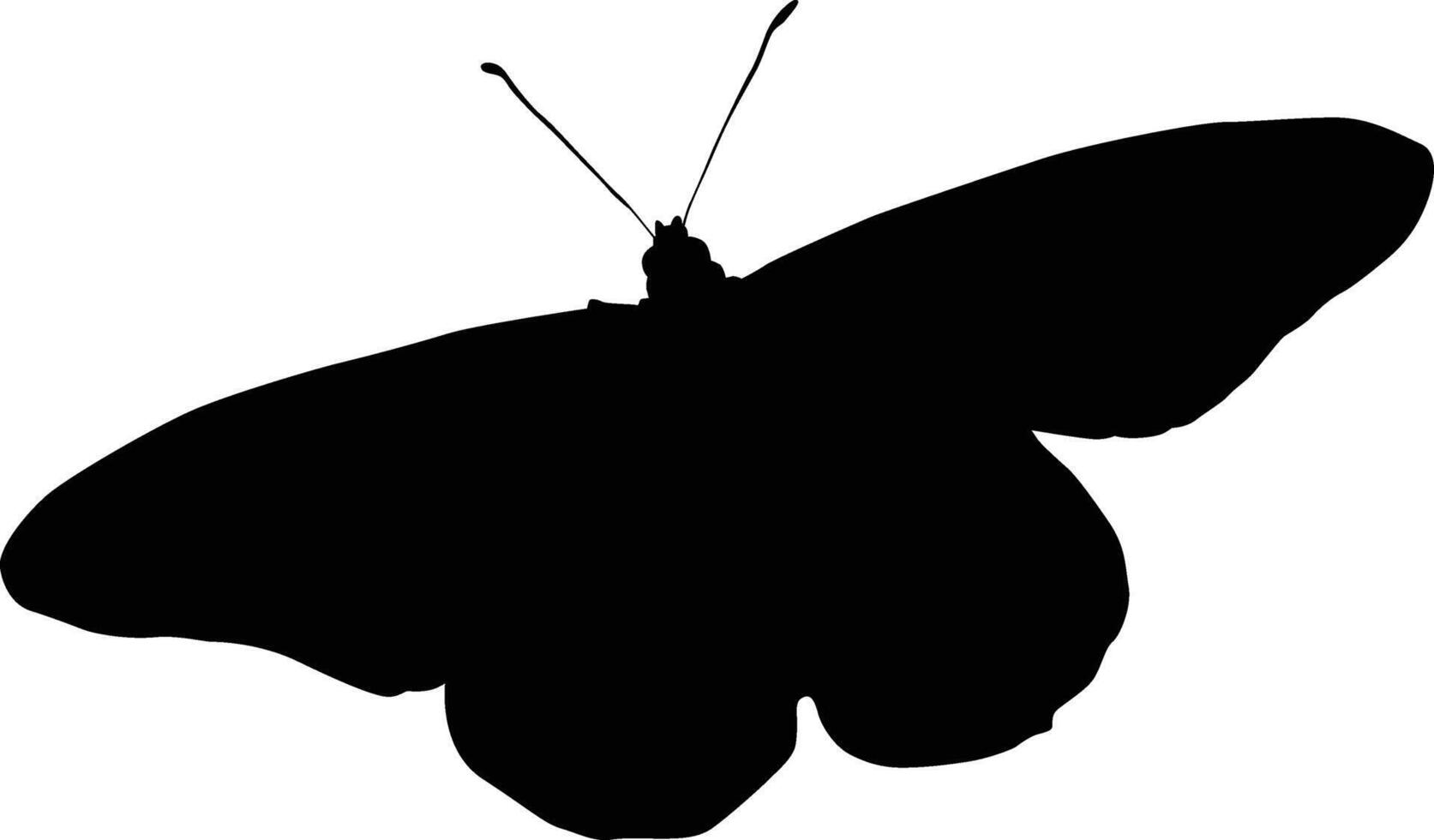 Butterfly silhouette illustration. Black colored animal wildlife hand drawn in vector format