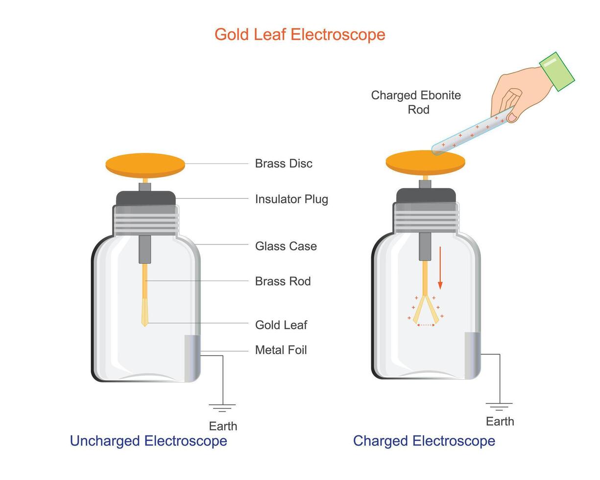 un oro hoja electroscopio detecta eléctrico cargos por el divergencia de Delgado oro hojas.usadas en física educación a demostrar el principios de electrostática. vector