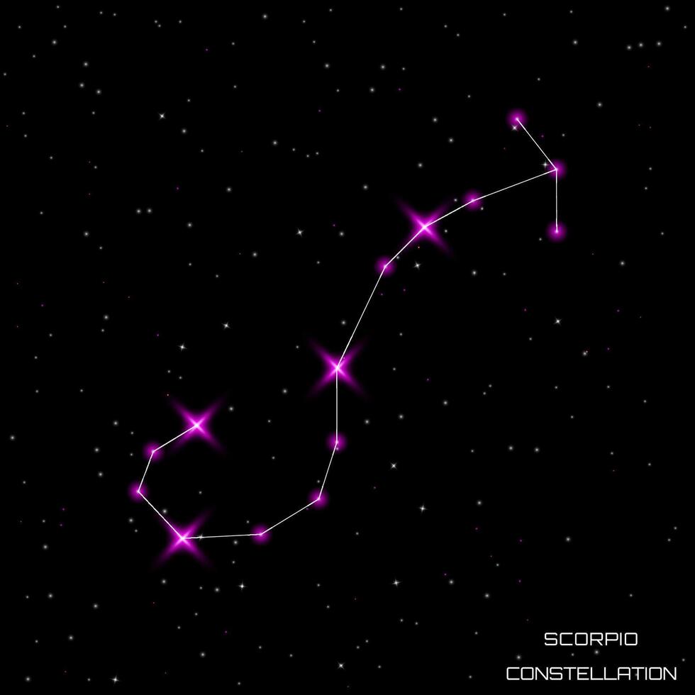 Zodiac signs. The constellation of Scorpio in the black starry sky. Vector illustration.