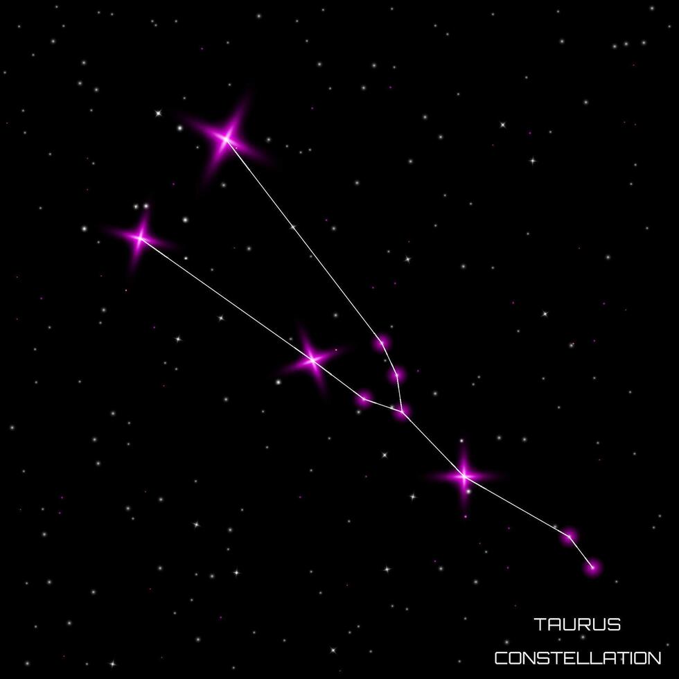 Zodiac signs. The constellation of Taurus in the black starry sky. Vector illustration.