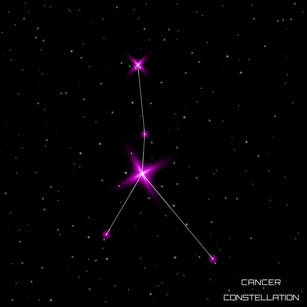 zodíaco señales. el constelación de cáncer en el negro estrellado cielo. vector ilustración.