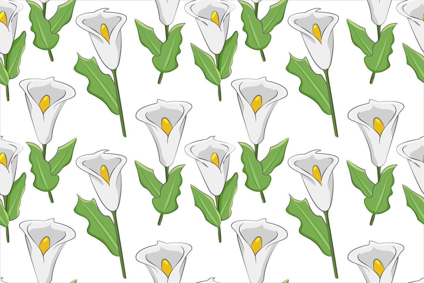 Pattern of white callas. White flowers on a stem with green leaves on a white background. Exotic bouquet for a wedding. Buds. Seamless pattern. Wrapping. Colored hand drawn. Vector illustration.