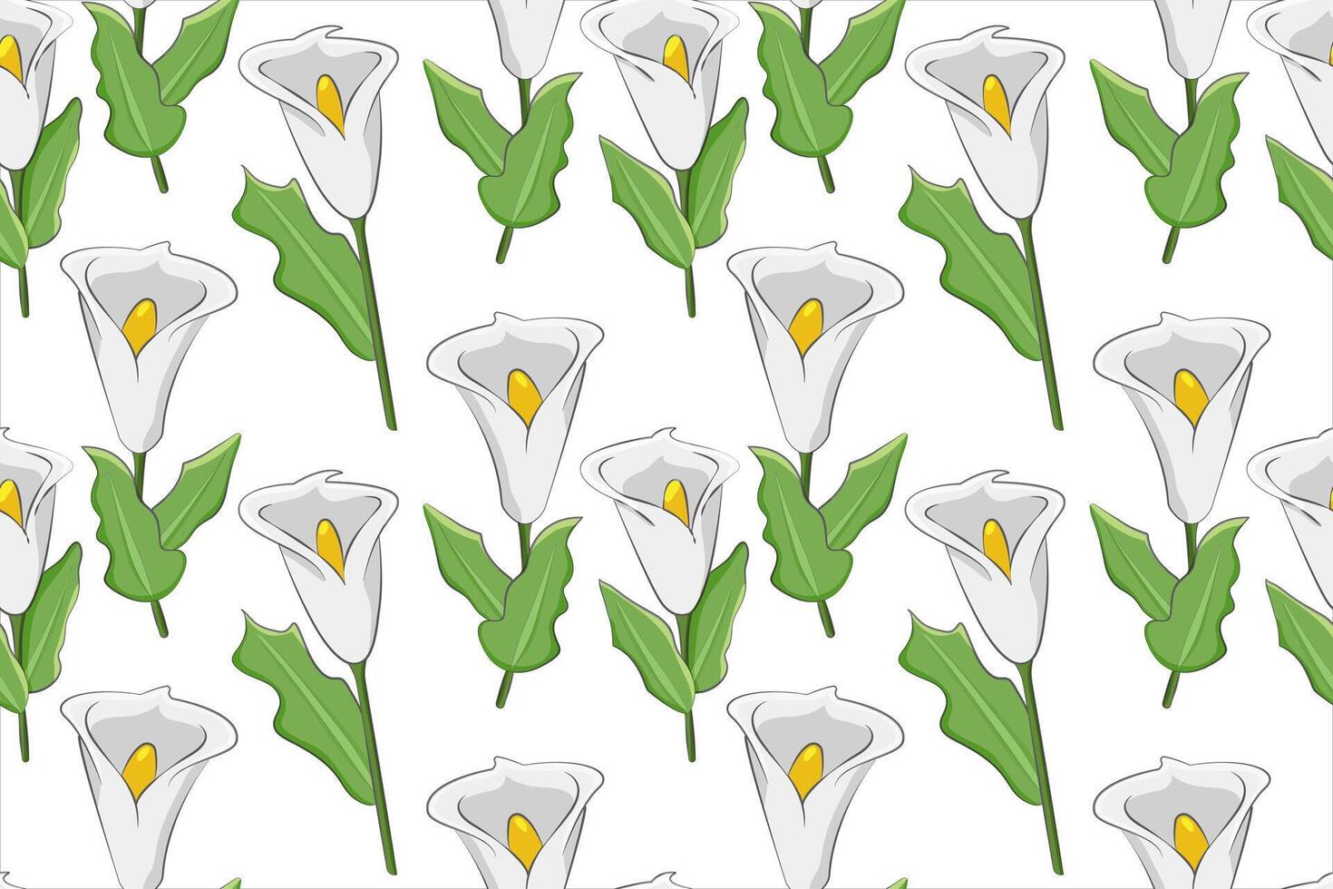 modelo de blanco calas. blanco flores en un vástago con verde hojas en un blanco antecedentes. exótico ramo de flores para un boda. brotes sin costura modelo. envase. de colores mano dibujado. vector ilustración.