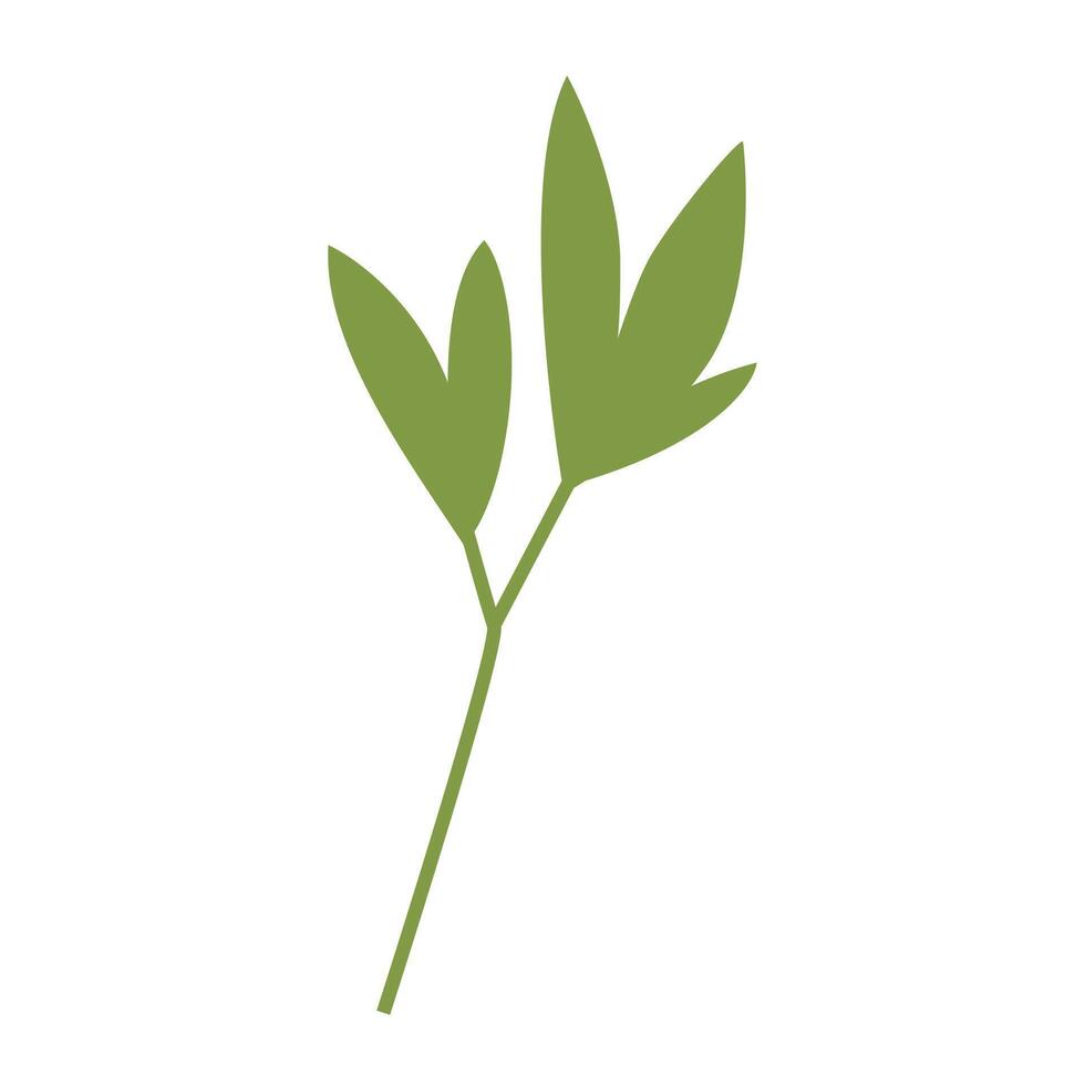 simple leaf design illustration vector