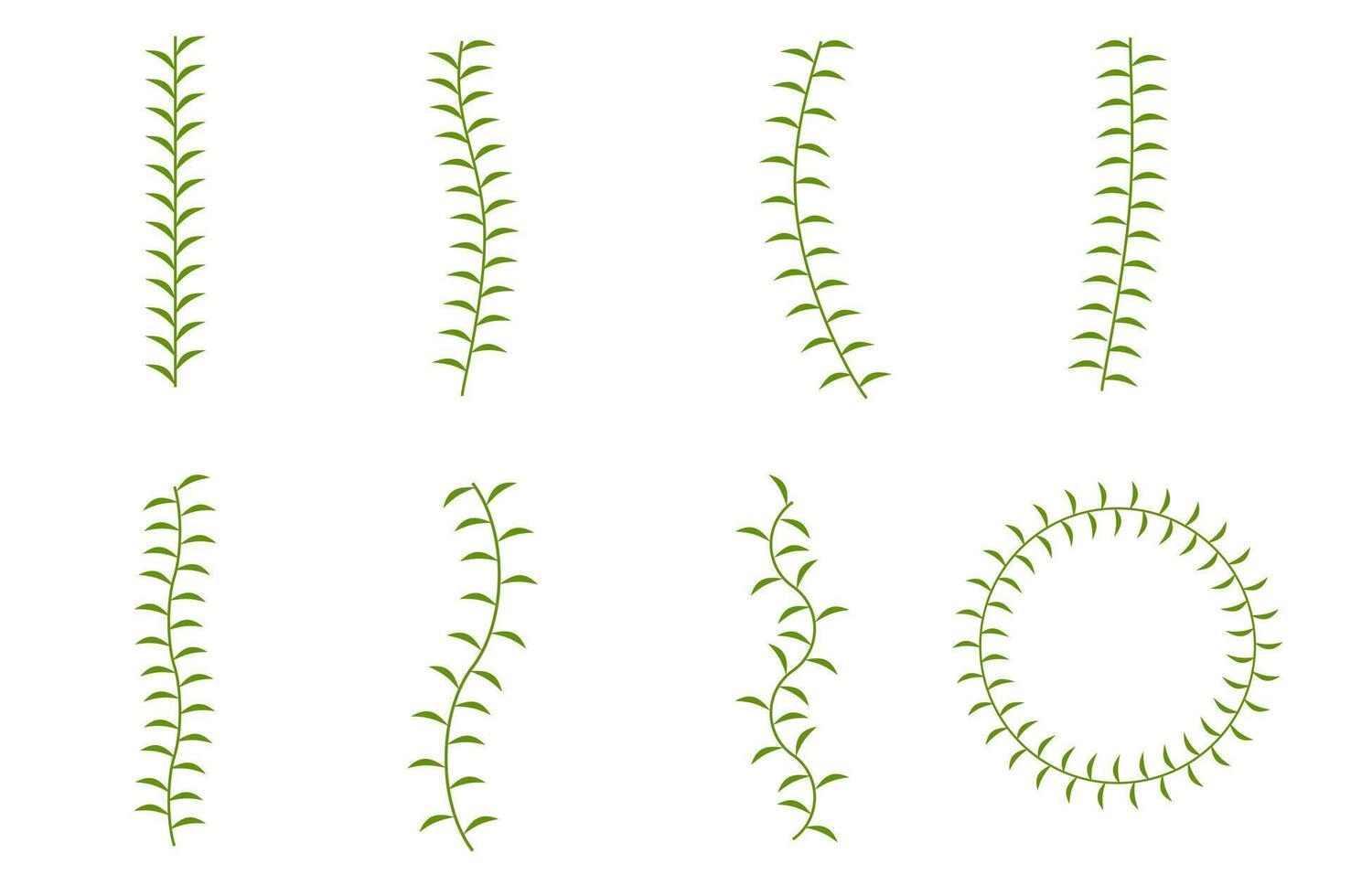 Set leaves and branch for decoration vector