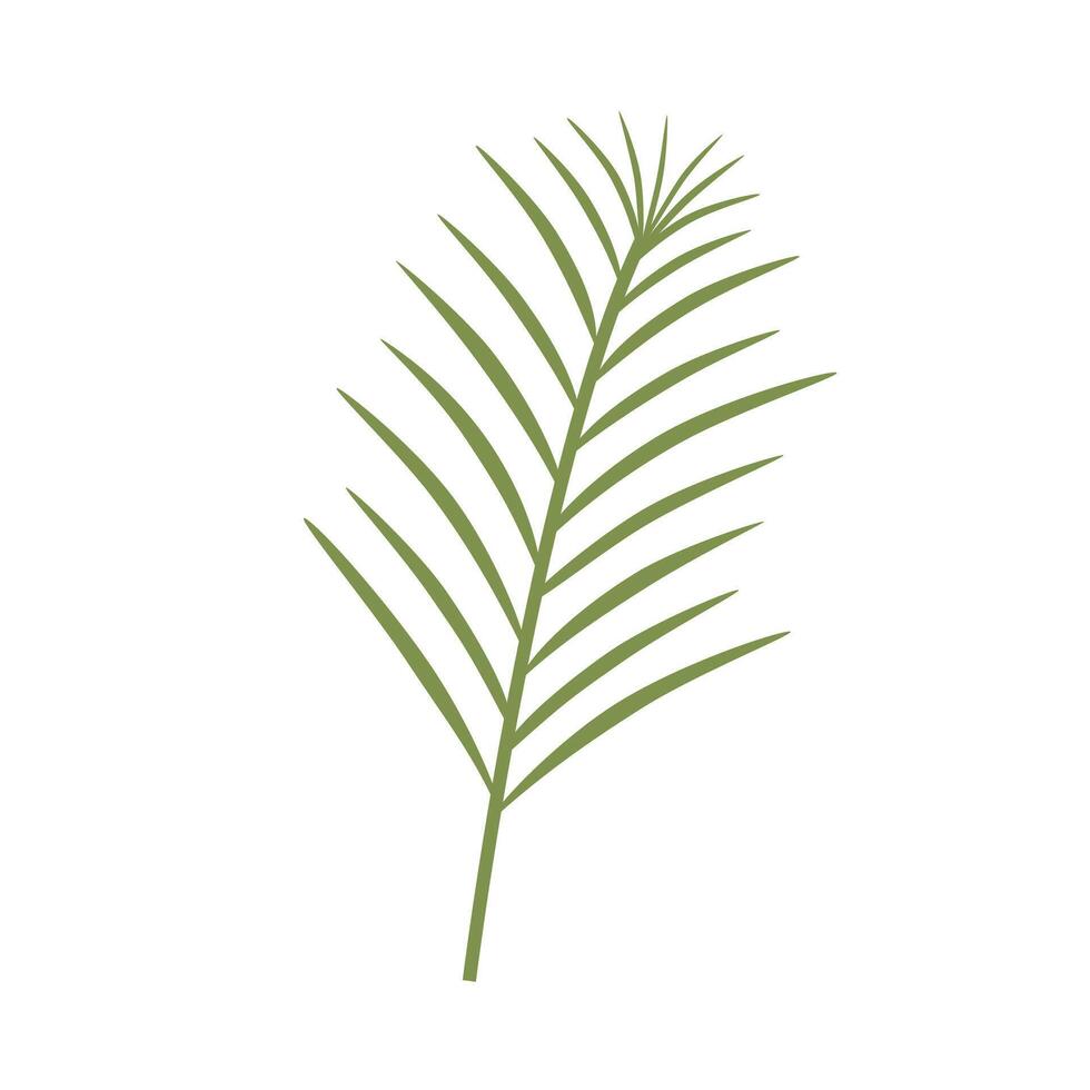 tropical palm leaf illustration vector