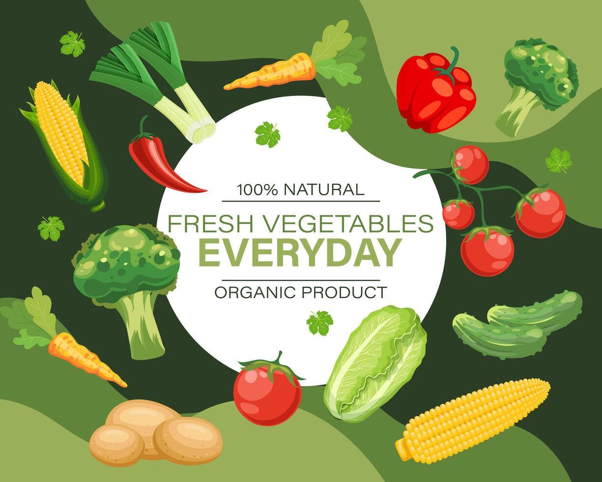 Design template with fresh vegetables, natural products, organic food. Illustration, poster, vegetable background banner. Vector