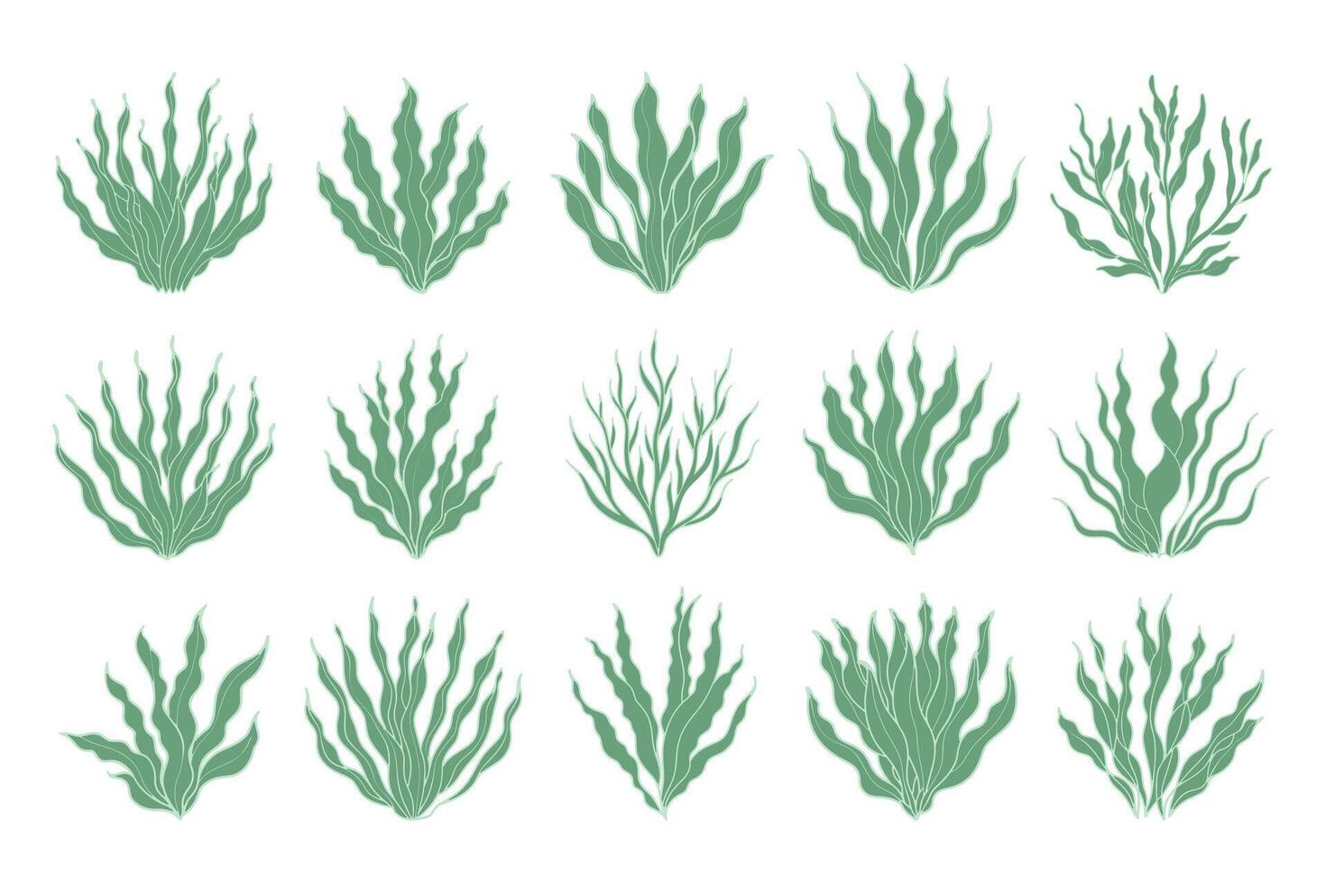 Set of algae or coral reefs. Collection of underwater plants. Set of seaweed icons. Illustration. Vector