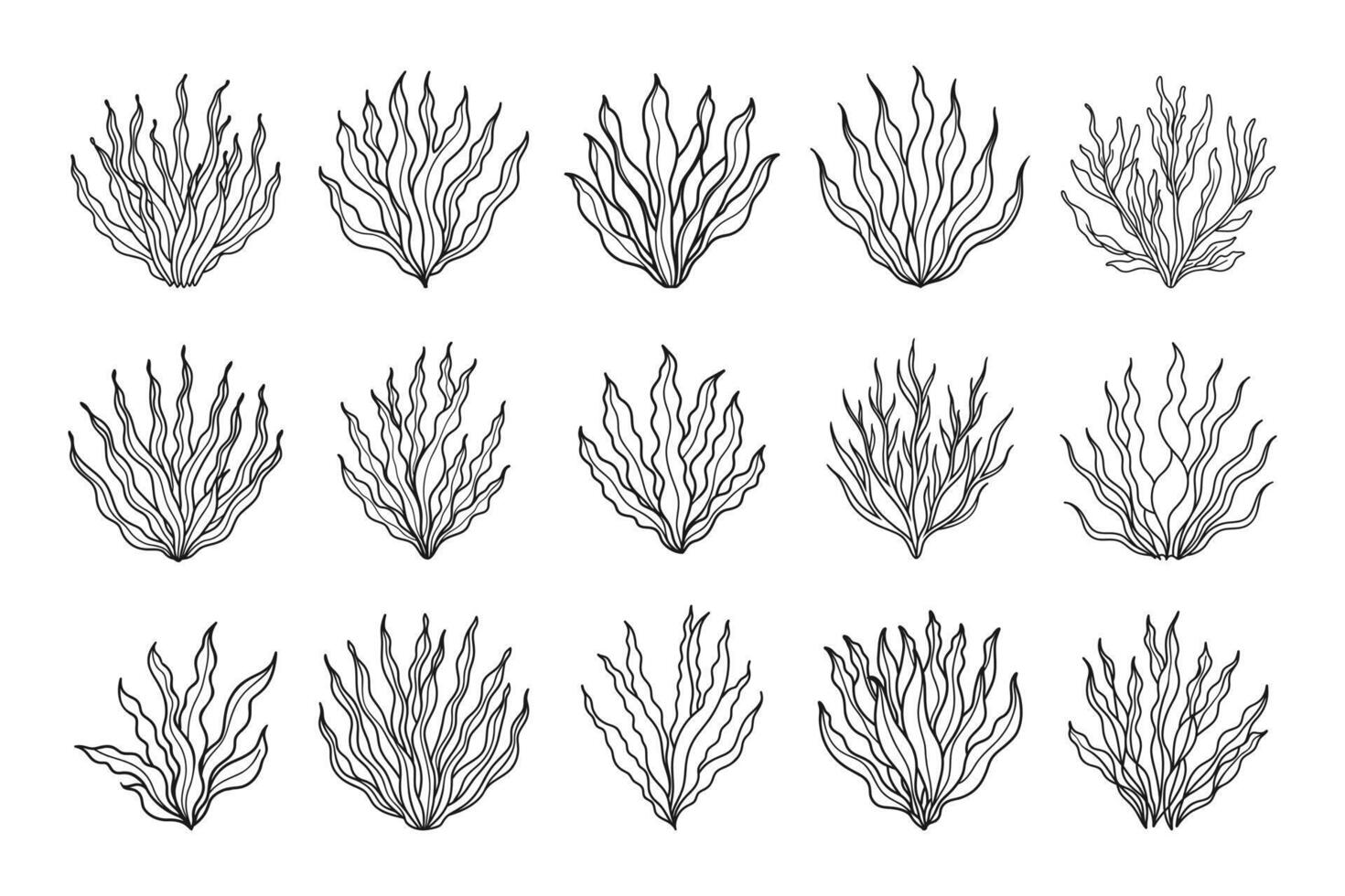 Set of algae or coral reefs. Collection of underwater plants. Set of seaweed icons. Sketch, illustration. Vector