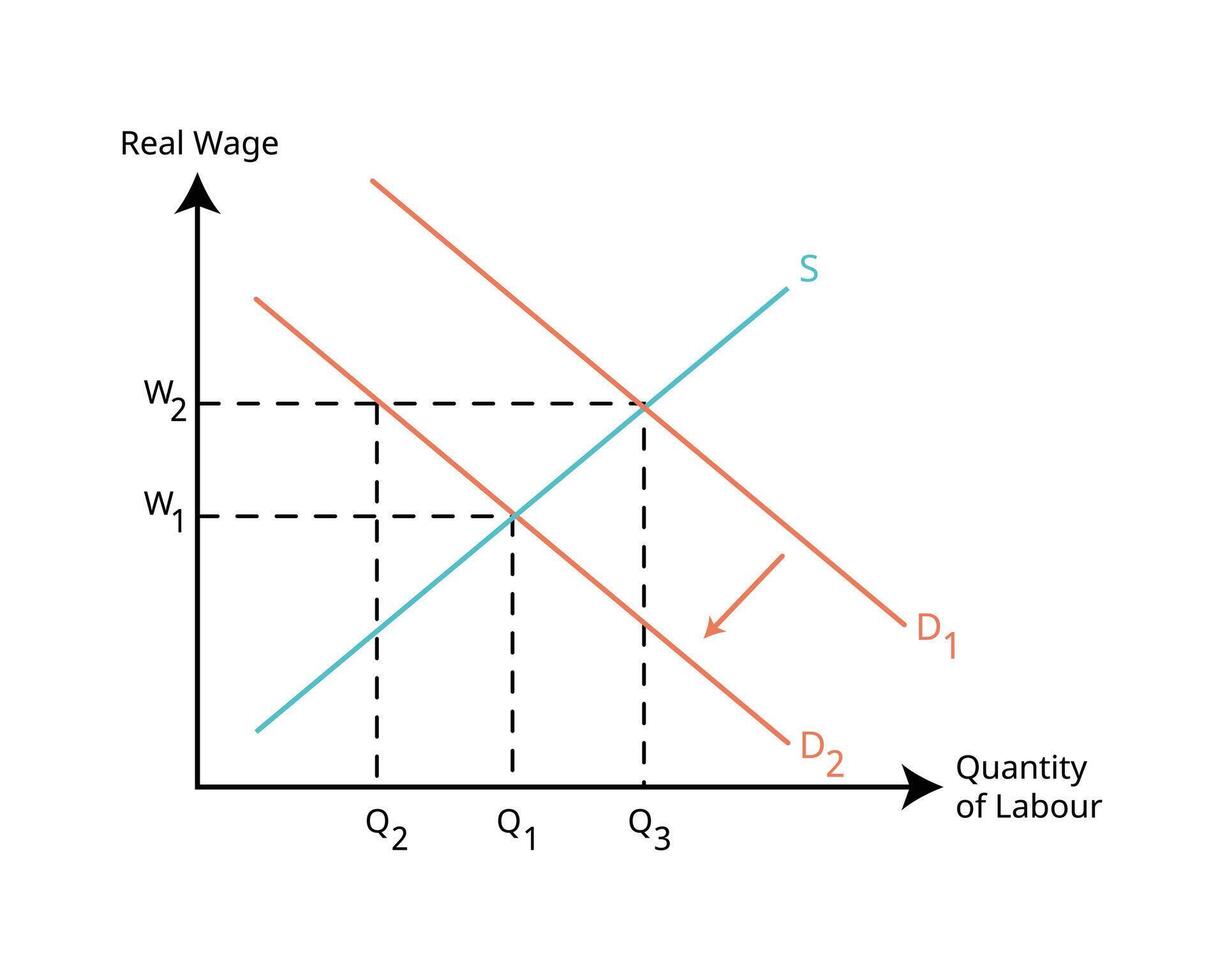 cyclical unemployment graph or labour force diagram for real wage unemployment economy graph to see the unemployment rate from demand and supply vector