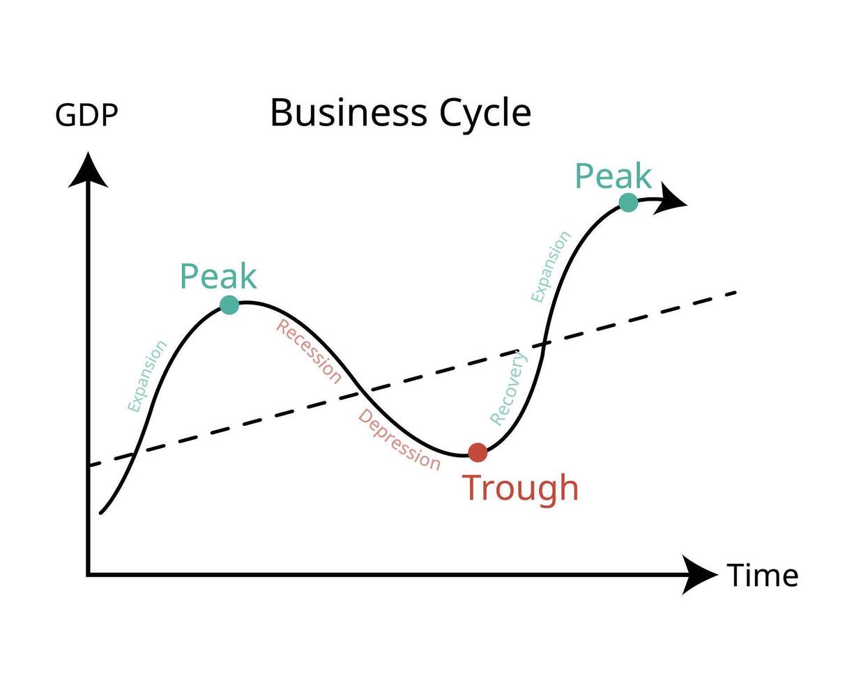 business cycle is a cycle of fluctuations in the Gross Domestic Product or GDP around its growth rate vector
