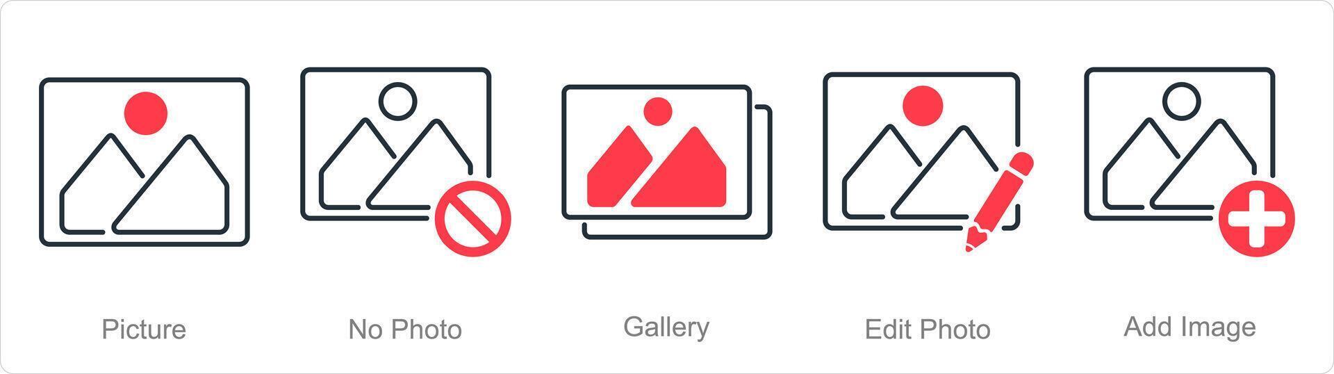 A set of 5 Photography icons as picture, no photo, gallery vector