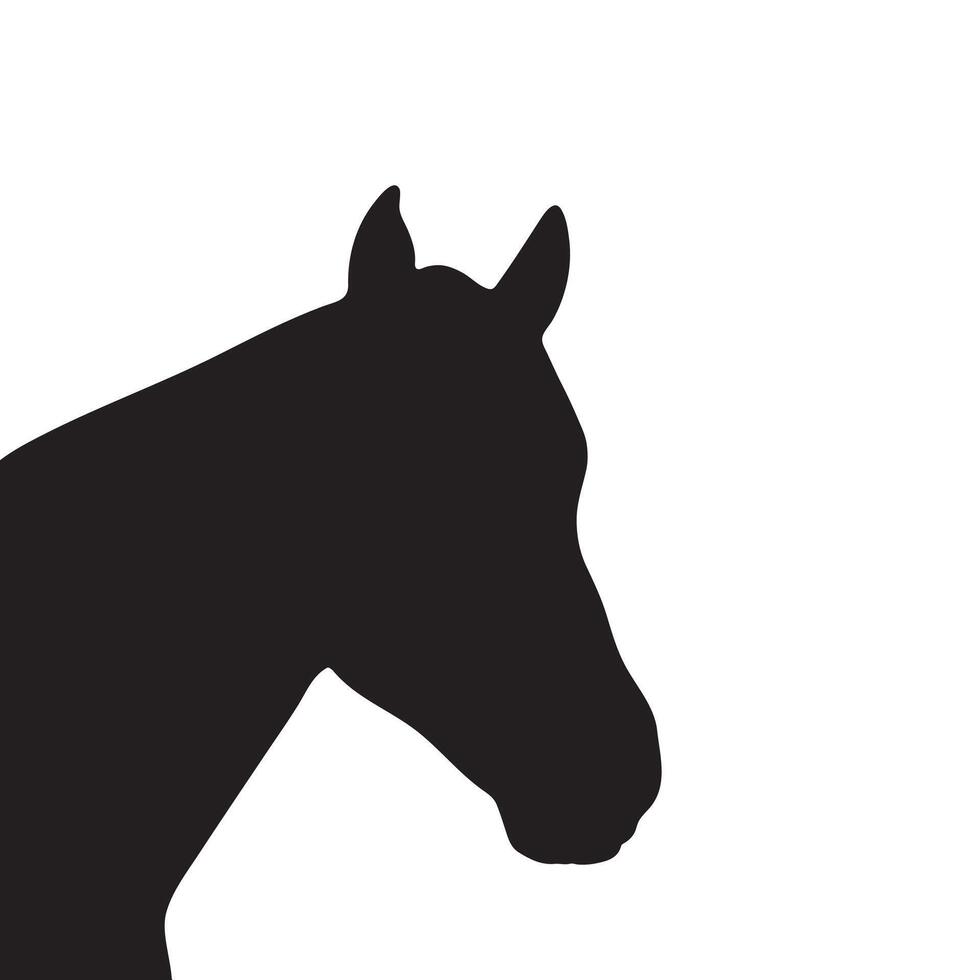 Horse head black vector silhouette white background stallion male portrait