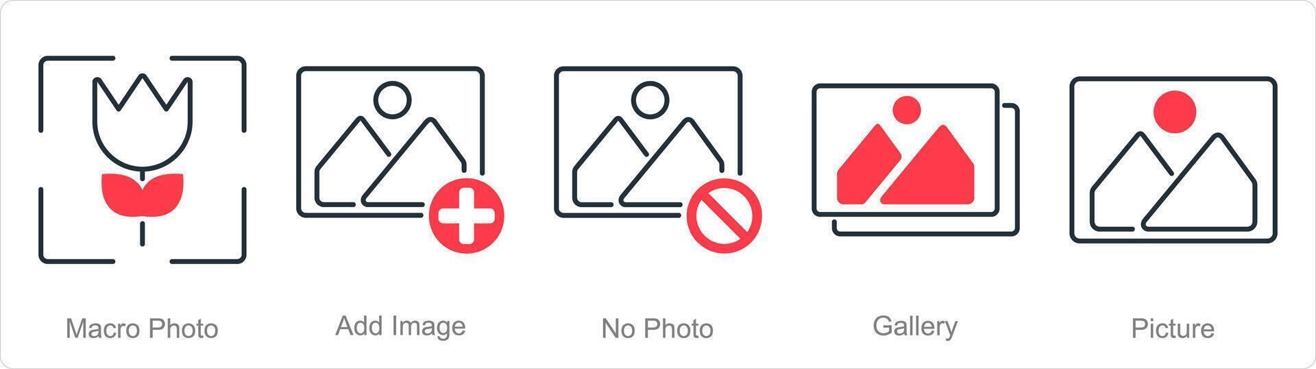 A set of 5 Photography icons as macro photo, add image, no photo vector