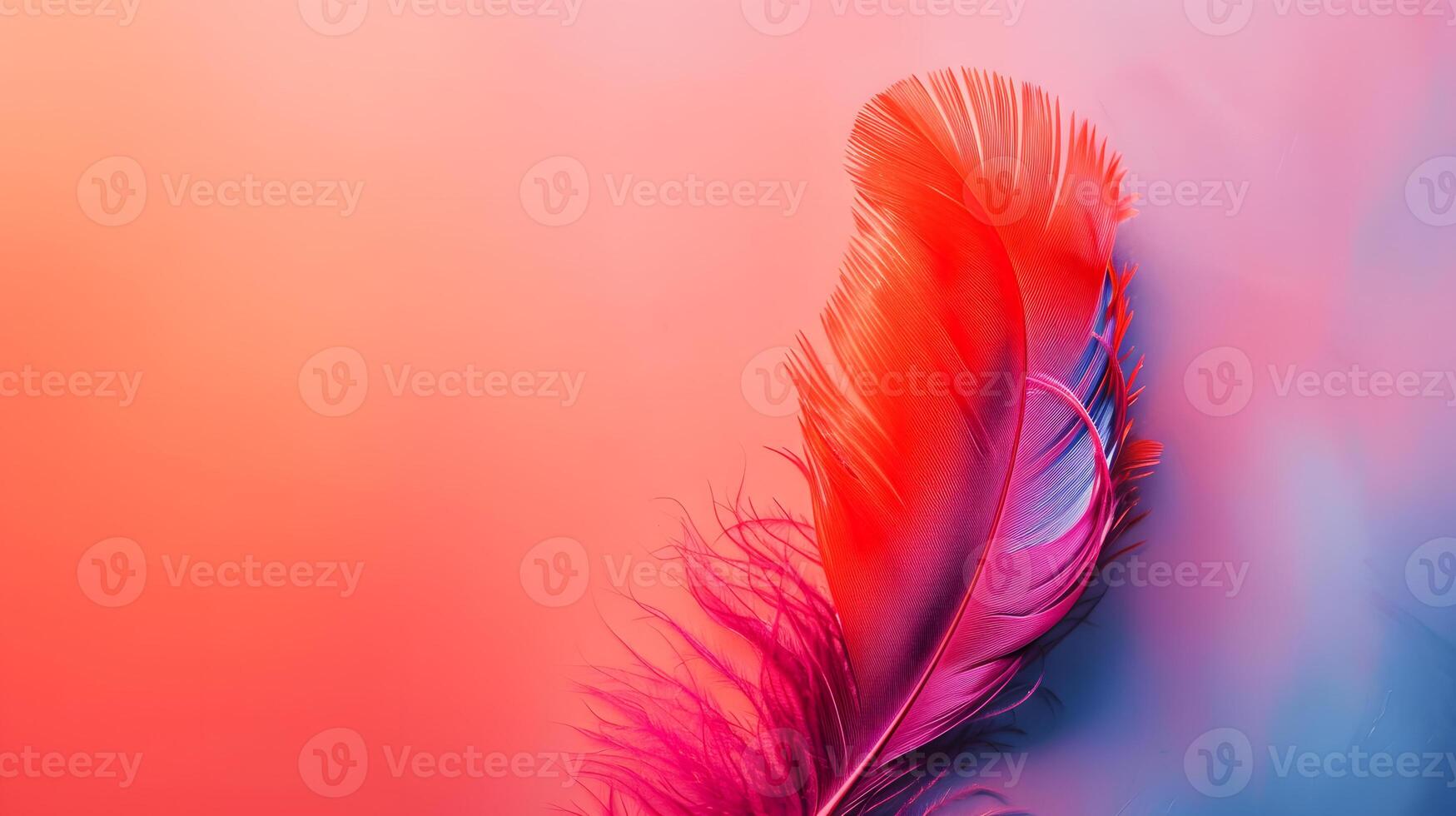 AI generated Vibrant Red Feather on Gradient Blue Pink Background photo