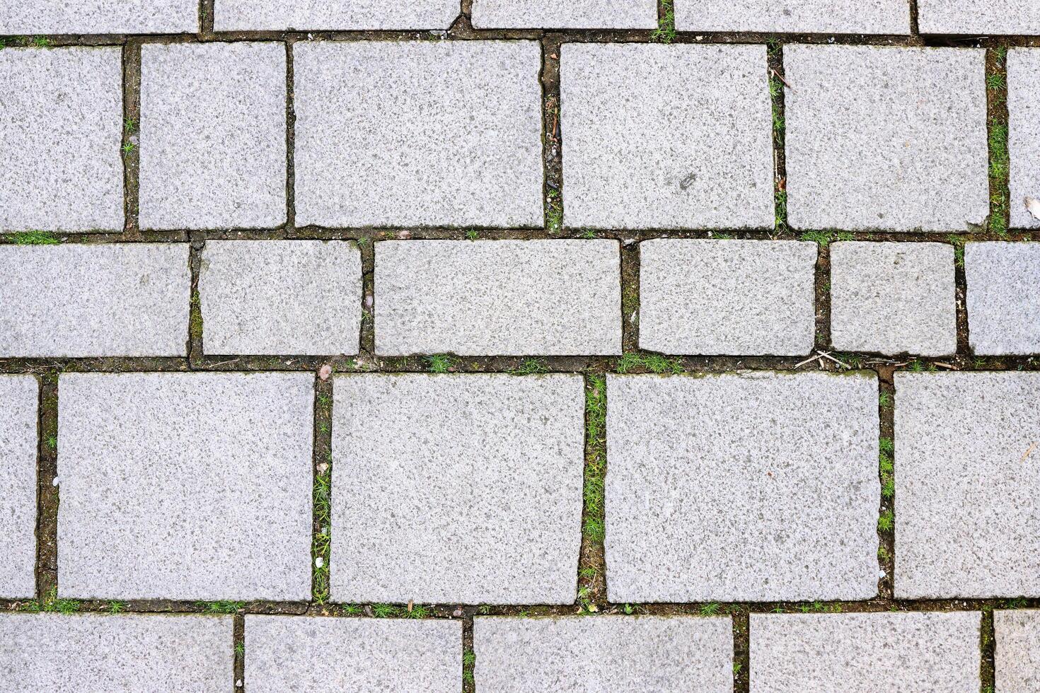 Grey vintage cement tiles texture with grass growing between stones. Cement wall texture. Sidewalk pattern. Industrial background. Top view. photo