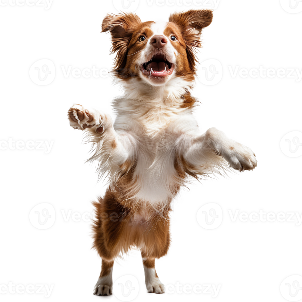 AI generated A dog is jumping in the air and it is happy png