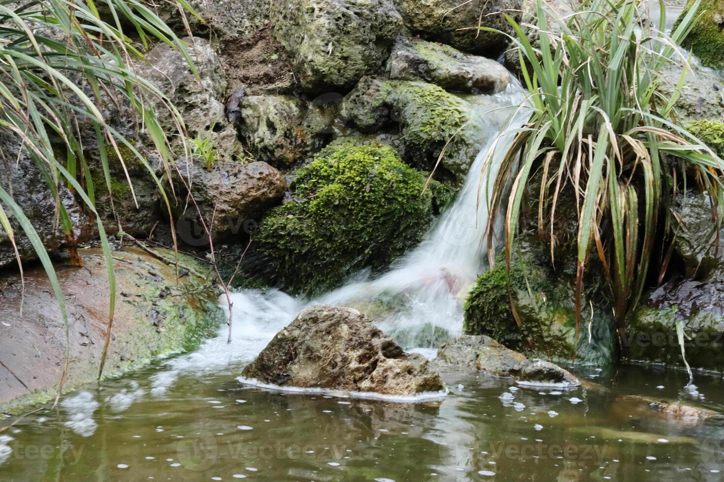 Little waterfall. Water is falling down into the tiny pond in the middle of the Ring Park in the town of Wuerzburg. Klein Nizza Park.  Stream of water. Green plants, greenish lake photo